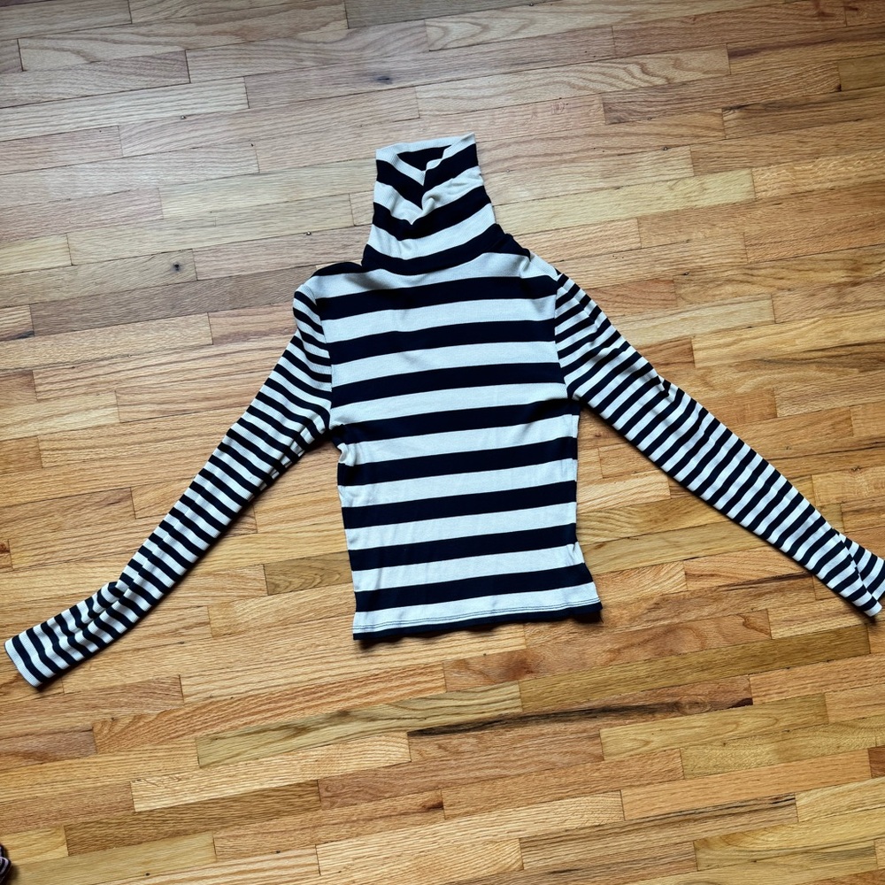Madewell Ribbed Striped Black and White Turtleneck Top
